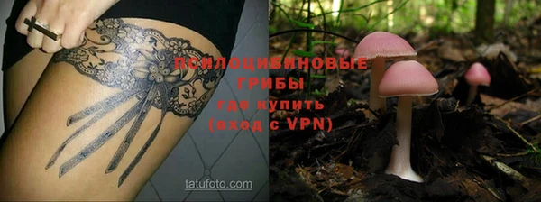 дурь Абаза