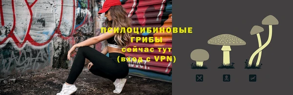 МДПВ Абинск