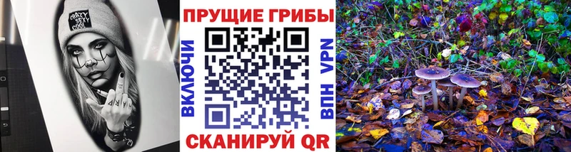 Псилоцибиновые грибы MAGIC MUSHROOMS даркнет сайт Сальск