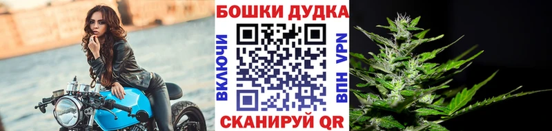 MEGA ССЫЛКА  Сальск  МАРИХУАНА индика 